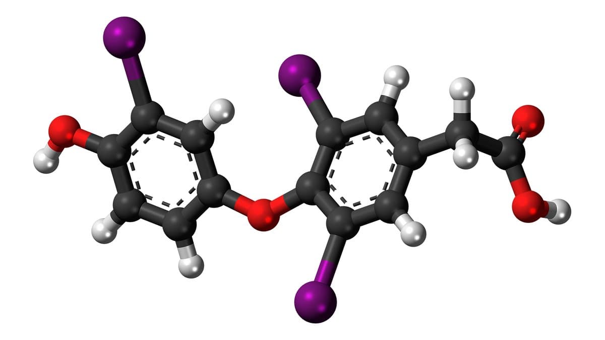 Ball-and-stick model of the tiratricol molecule: two benzene rings joined by an oxygen atom, carrying three purple iodine atoms, with red oxygen and white hydrogen atoms.