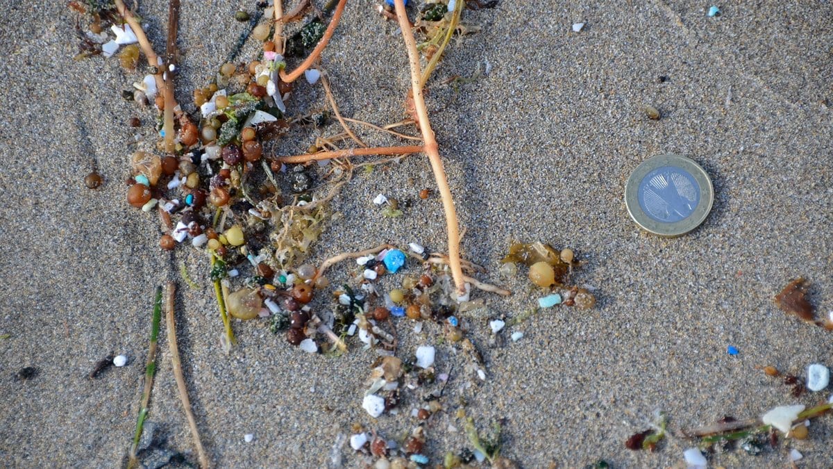 Hundreds of small colored plastic fragments mixed with sand, dried seaweed and grit, with a one-euro coin lying among them for scale.