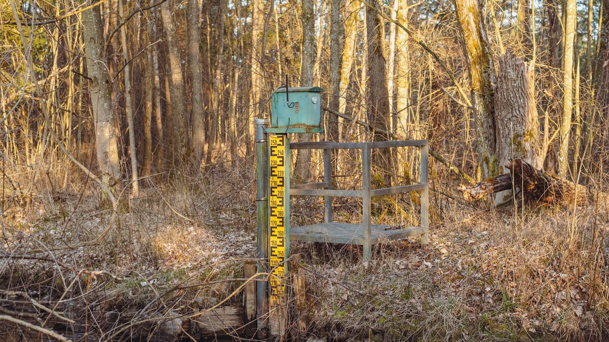 A yellow and black graduated staff gauge on a post at the edge of a shallow stream, a green instrument box on top and a small metal platform beside it, bare winter woodland behind
